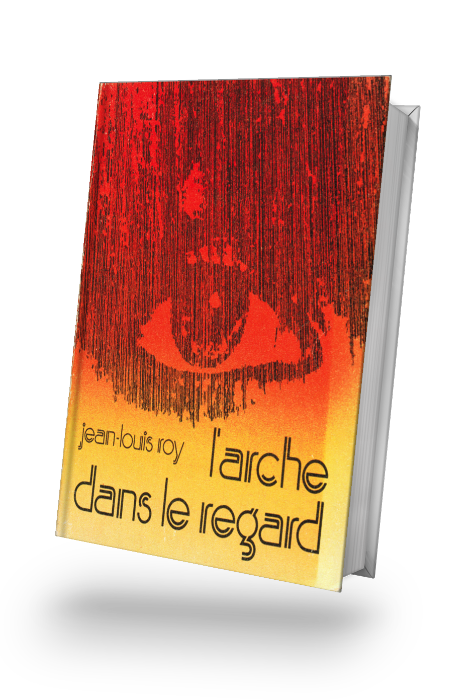 L’Arche Dans Le Regard