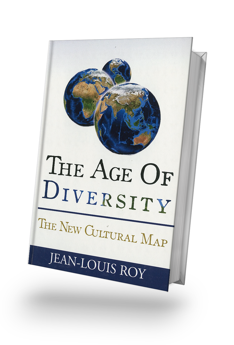 The Age of Diversity: The New Cultural Map